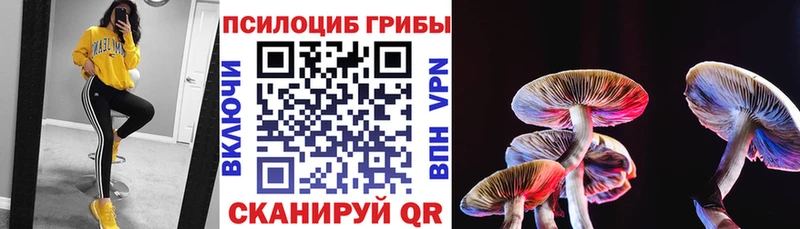 Псилоцибиновые грибы прущие грибы  Купить  Шебекино 